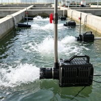 Aérateur de bassin submersible à jet d'air haute puissance 250W avec fonctionnement silencieux
