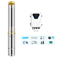 Pompe à eau solaire submersible à haute efficacité 24V 300W DC pour système agricole