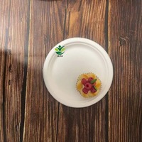 Vente en gros 100% assiettes jetables compostables biodégradables bagasse canne à sucre 9 pouces de pâte à papier de canne à sucre plat de fête de qualité alimentaire