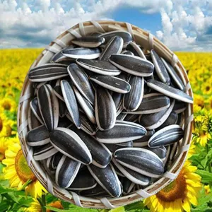 זרעי חמניות טון מחיר סין מפעל אספקת זרעי חמניות