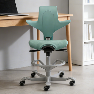 Silla de <span class=keywords><strong>Montar</strong></span> Ergonómica con Protector de Columna Vertebral, Silla de <span class=keywords><strong>Montar</strong></span> <span class=keywords><strong>para</strong></span> Dentistas, Taburete de <span class=keywords><strong>Montar</strong></span> Ergonómico, Silla de <span class=keywords><strong>Montar</strong></span> <span class=keywords><strong>a</strong></span> <span class=keywords><strong>Caballo</strong></span> - Product Image 1
