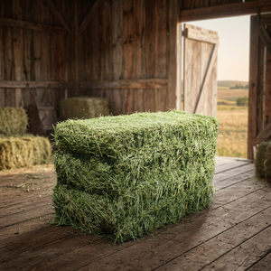 Heno de Alfalfa estándar Premium para alimentación Animal, heno de Alfalfa para alimentación Animal - Product Image 2