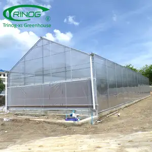 Complete polycarbonate agricultural greenhouse turnkey project with quick construction