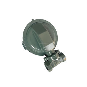 Régulateur de pression 1803B2 DN25, vanne de régulation de pression, vannes pour brûleurs à gaz industriels - Product Image 4