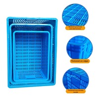 Caisse en plastique grillagée durable, empilable et écologique pour l'emballage des légumes, idéale pour les supermarchés et la logistique agricole.