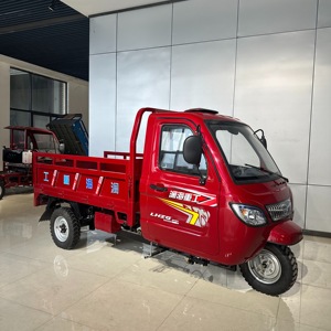 Tricycle WangHu Adulte Kenya de Haute Qualité, Moteur Puissant <span class=keywords><strong>200cc</strong></span> à Refroidissement Liquide, Châssis Ouvert, Charge Utile <span class=keywords><strong>2T</strong></span> 1.3x2M - Product Image 3