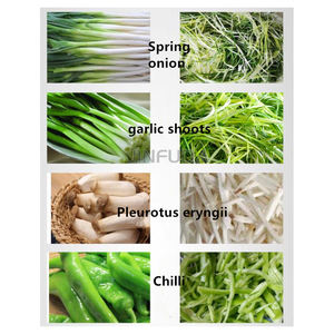 סיני מפעל מחיר דק מעובד מתקדם פרוסה ירקות ירוק בצל לגרוס חיתוך מכונה - Product Image 5