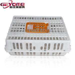 Özelleştirilmiş plastik enjeksiyon endüstriyel bira içecek şişesi istiflenebilir saklama kutusu ekmek sandık kalıp tedarikçisi - Product Image 6