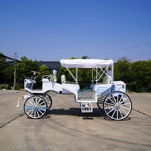 Chariot Électrique de Tourisme de Haute Qualité à 4 Roues & Calèche Électrique Tirée par des Chevaux - Product Image 3