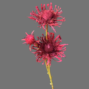 Fleur artificielle Leucospermum à 3 têtes, 68 cm <span class=keywords><strong>de</strong></span> long, tête <span class=keywords><strong>de</strong></span> 12 cm, toucher réel, pour décoration <span class=keywords><strong>de</strong></span> mariage, hôtel, maison et usage commercial (vente en gros) - Product Image 5