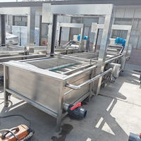 YOUBAN Commerciële Bubbelwasmachine Industriële Groente- en Fruitreinigingsmachine Met Ozon Desinfectiefunctie