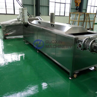 Volledig automatische productielijn voor gefrituurde aardappelchips, machine voor het maken van frieten, productielijn voor diepvriesfrieten, fabriek