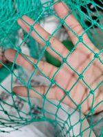 Best Sale Hdpe Geknoopt Anti Vogel Bescherming Net Vogel Mesh Anti Vogel Net Voor Fruitboom Tuin