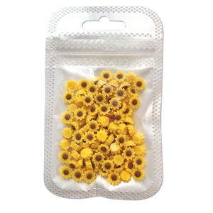 Paso Sico 100 piezas <span class=keywords><strong>de</strong></span> accesorios para <span class=keywords><strong>uñas</strong></span> con diseño <span class=keywords><strong>de</strong></span> <span class=keywords><strong>girasol</strong></span>, flores pequeñas y frescas en 3D, decoración <span class=keywords><strong>de</strong></span> punta <span class=keywords><strong>de</strong></span> diamante para <span class=keywords><strong>uñas</strong></span> postizas DIY - Product Image 5
