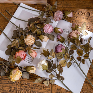 Rose d'été séchée à double tête style INS, fleur artificielle pour la décoration intérieure, vente en gros du fabricant Rose Wall - Product Image 4