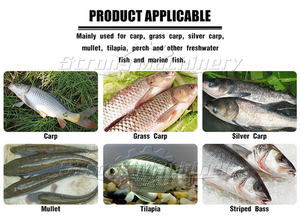 Máquina de limpieza para matar peces de alta productividad Máquina de escalado y eviscerado de pescado Removedor de escamas de pescado - Product Image 6