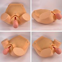 Modèle anatomique avancé de simulation de grossesse et d'accouchement pour la formation complète en sciences médicales, enceinte et gynécologie, certifié CE