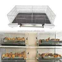 Ensemble complet YYC pour l'élevage avicole, cage automatique pour l'élevage des poussins et des cailles pour la production d'œufs avec mangeoire et abreuvoir