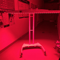 Vente en gros de panneaux à lumière rouge 3000W avec nouvelles fonctionnalités, 660nm850nm, avec une énorme réduction