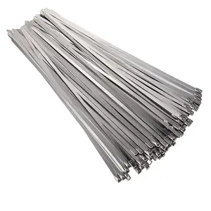 304 /316/201 SS self-locking cable ties Stainless Steel Metal Zip Ties factory cable ties