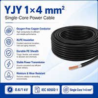 Câble d'alimentation à faible émission de fumée Huaqi YJY 1x4mm en cuivre isolé XLPE 0,6/1kV pour installation fixe en intérieur