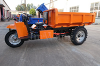 JWM 4-Tonnen Elektrischer Minidumper Entwickelt für Manuelles Bergbauarbeiten Beliebter Mini-Dumper in Peru