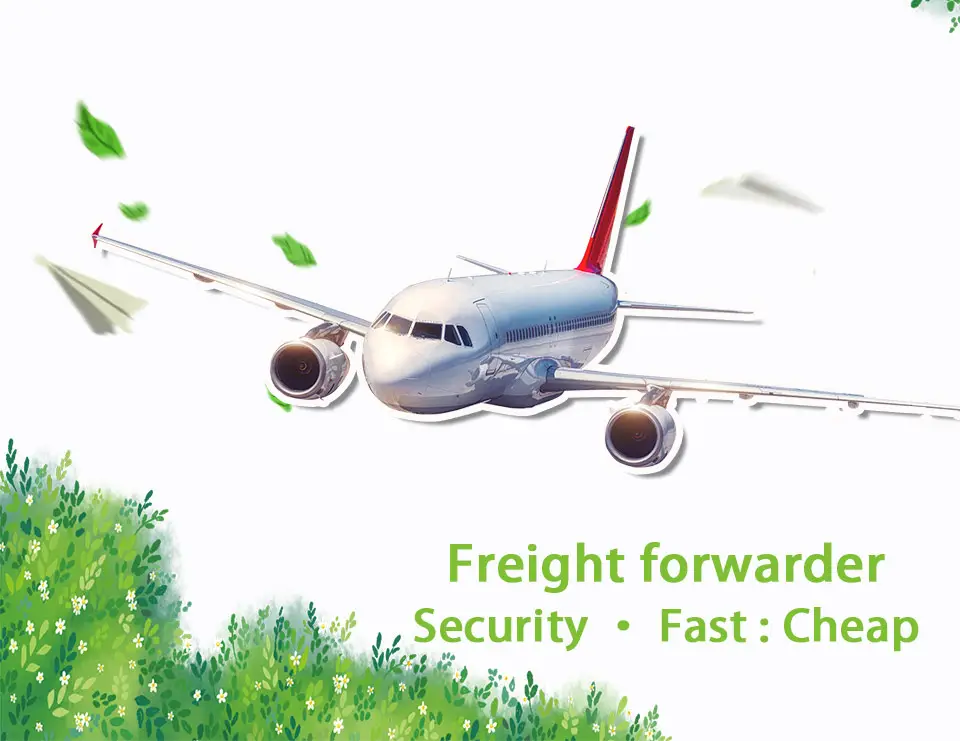 DHL UPS FEDEX International Freight Express Service Togo African West Coast African Ports Air Transport China Freight Forwarder