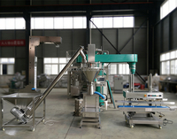 Machine de remplissage et de pesage à vis sans fin en acier inoxydable 304 pour farine, amidon de manioc, protéines, levure chimique (1kg, 2kg, 3kg)