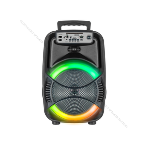 8-Inch taşınabilir RGB LED kablosuz hoparlör TWS AUX mikrofon USB DC pil ile açık Karaoke radyo plastik kolu - Product Image 1