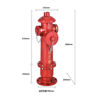 DN150 Hydrant vertical de type russe à double sortie en fonte ductile, de type humide, personnalisable