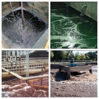 Sel de Trimercaptotriazine (CAS 17766-26-6) Pureté 99% Grade Industriel pour le Traitement des Eaux Usées à Contenants de Métaux Lourds