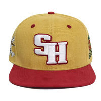 Topi Dandy logo bordir 3D kustom Hip-hop uniseks terlaris topi bisbol Snapback Trucker kualitas tinggi grosir topi Baseball