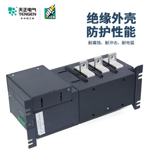 Tengen Disconnect <b>Switch</b> 3P 250A 380V Indoor Use - Product Image 4