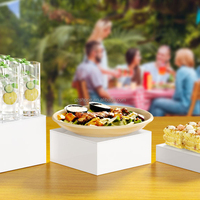 SHP Grandes Ventes Présentoir de Table en Acrylique Transparent 4 Pièces en Cascade pour Aliments et Restaurants