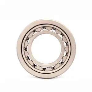 China bearing supply chain cylindrical roller bearings NJ1015M/P5 for wholesales