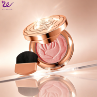 Poudre visage Lilywild, maquillage minéral végétalien hautement pigmenté, résistant à la transpiration, fini scintillant, étui rose gold, miroir, pinceau, marque privée