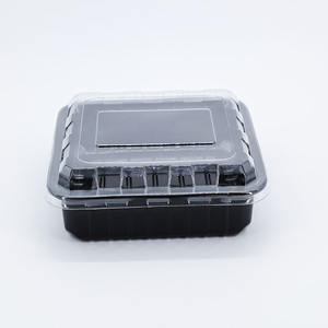 Contenitore per Pranzo in Plastica PET di Grado Alimentare, Salvadanaio Rettangolare Personalizzabile, Scatola di Conservazione Resistente alle Basse Temperature con Logo - Product Image 4