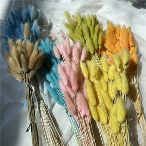H0513-14 Decorazione d'Interni con Fiori Secchi Conservati <span class=keywords><strong>Lagurus</strong></span> Ovatus Coda di Coniglio per Arredamento Casa - Product Image 6