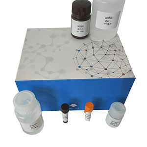 박테리아 생물학 연구를위한 하이 퀄리티 그램 염색 시약 키트 - Product Image 4