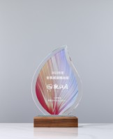 Excellente reconnaissance de prix progressive Trophées en bois massif Médailles et plaques Couleur cristal Imprimé Belle gravure Souvenir
