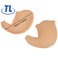 Modèle d'entraînement à l'anastomose gastrique en silicone, modèle d'organe gastrique divisé pour la pratique de la suture gastro-intestinale