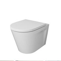 WC intelligent ARROW à économie d'eau, chasse d'eau intelligente, siphon en P, auto-nettoyant, en céramique, suspendu au mur, réservoir encastré UF