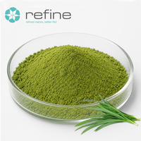 Colorant alimentaire naturel en poudre de Pandan, biologique, soluble dans l'eau, végétalien, extrait de feuilles de Pandan pour desserts/pâtisseries/poudre à pâtisserie