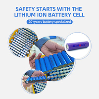 Dalam Siklus Lifepo4 Baterai 48V 30Ah untuk Sepeda Listrik 2000W dengan Pengisi Baterai