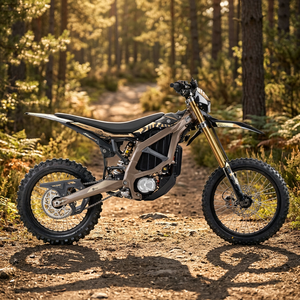 Nueva Motocicleta Todoterreno Eléctrica Bee 74V sin Escobillas de 24.5kW, 95km/h, para Uso Industrial y DIY, con 3 Años de Garantía (2026) - Product Image 3