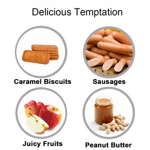 Small <b>Mice</b> Traps , Humane Snap and Power Rodent Killer Reusable <b>Mouse</b> Trap Mousetraps Plastic Sale <b>Mouse</b> Trap - Product Image 2