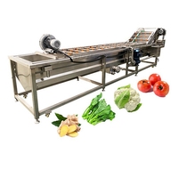 Commerciële Industriële Bubble Fruit Avocado Mango Groente Aardappel Wasmachine/Bevroren Groente Productielijn
