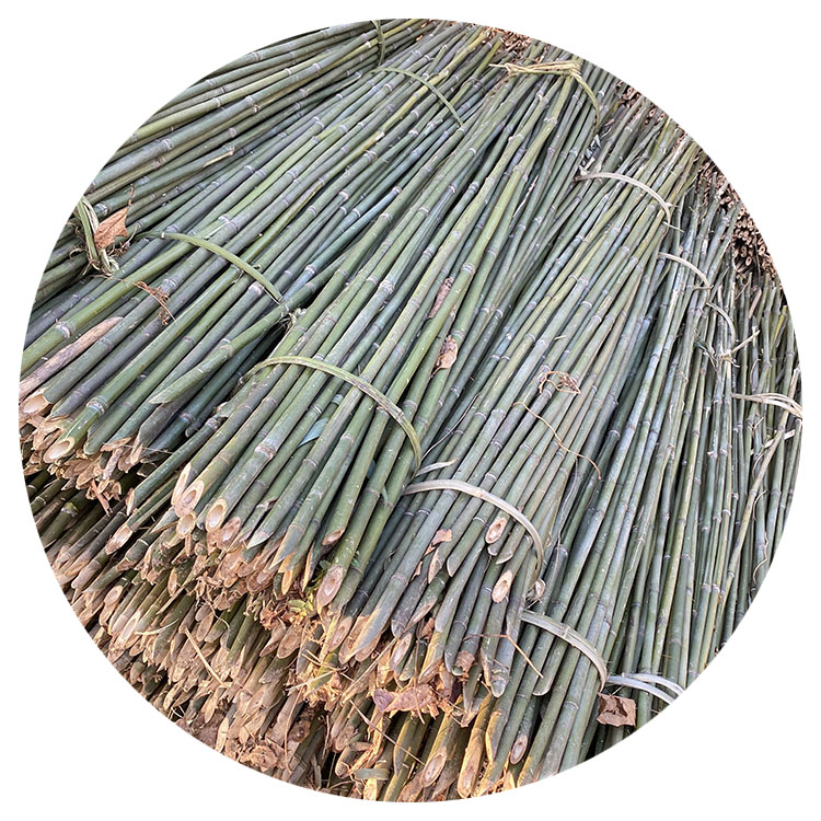 Оригинальный китайский экспортер бамбука, дешевая цена, искусственная обработанная бамбуковая стойка Moso