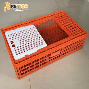 Nhựa Dày Có Thể Gập Lại Gia Cầm Carrier Cage Crate Gà Vận Chuyển Crate Để Bán