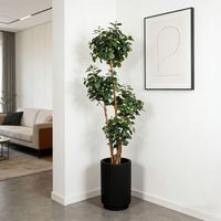 Nouvelle Conception 2026 : Ficus Artificiel Ultra-Realiste pour la Maison, le Bureau, l'Hôtel, le Centre Commercial – Plantes Ficus Décoratives en Pot